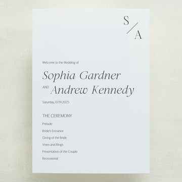 Serendipity Program