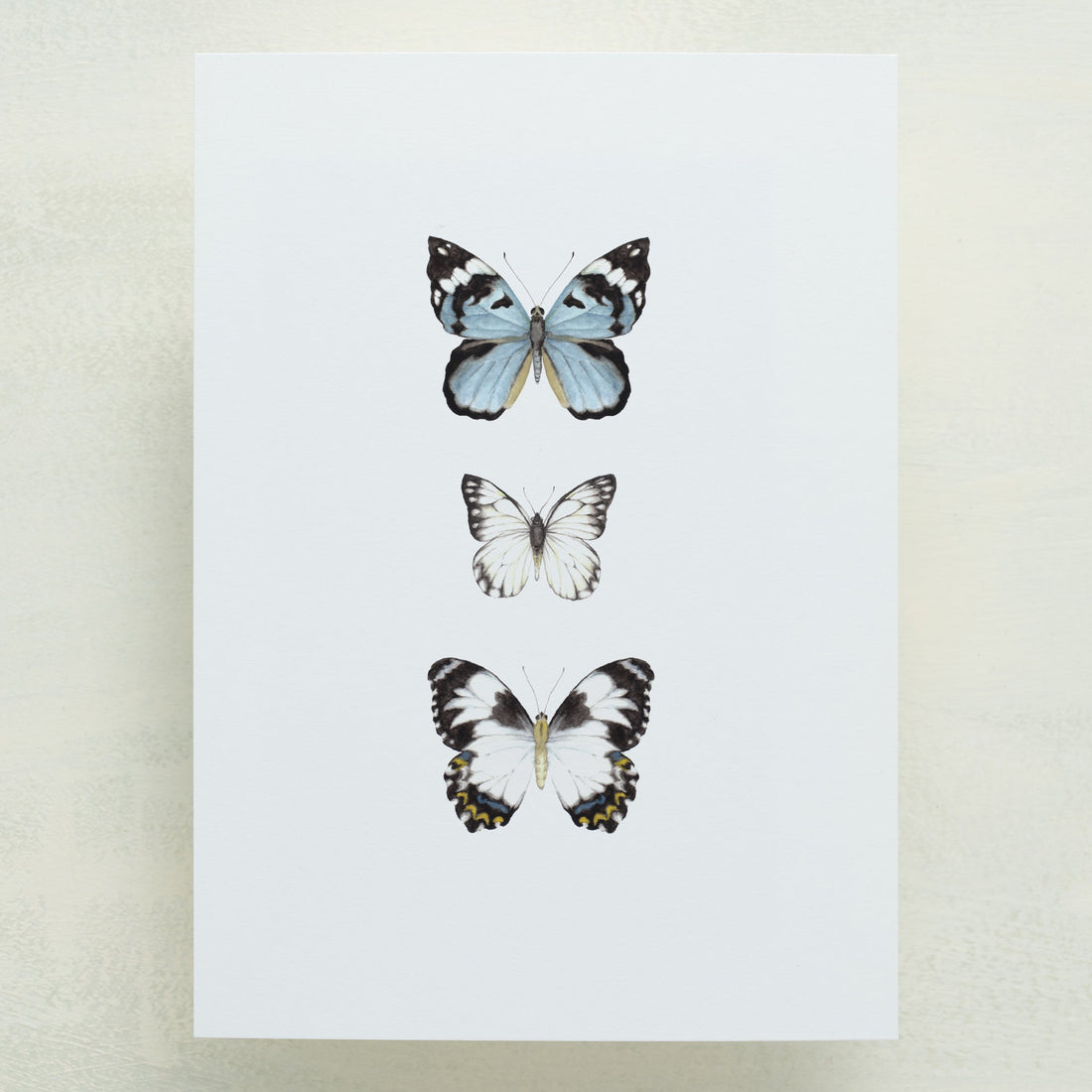 (Sample) Hearts A Flutter Save The Date