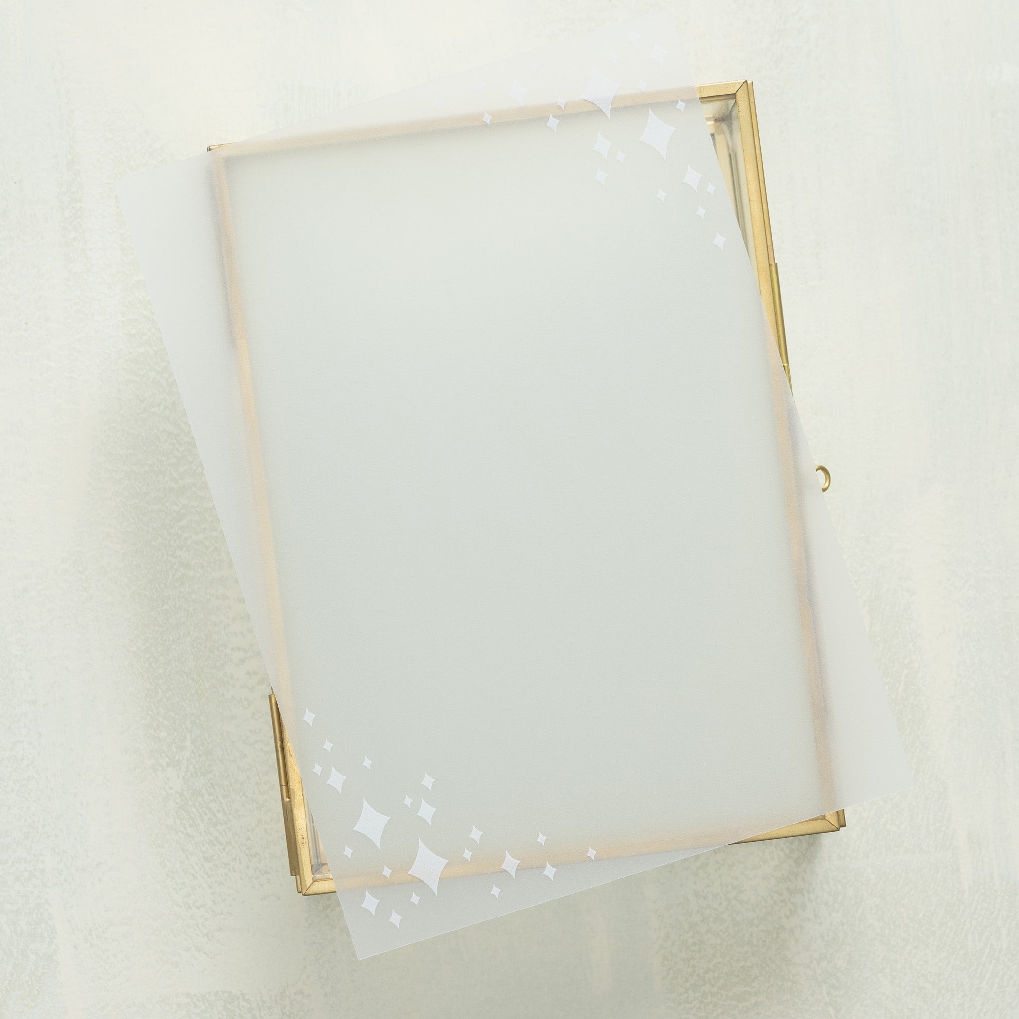 Wedlibs Vellum Overlay (10-pack)